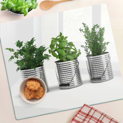 Glass kitchen board Plants in metal pots
