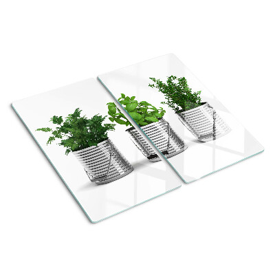 Glass kitchen board Plants in metal pots