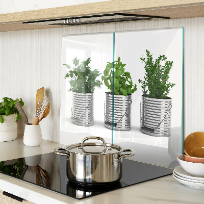 Glass kitchen board Plants in metal pots