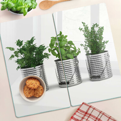 Glass kitchen board Plants in metal pots