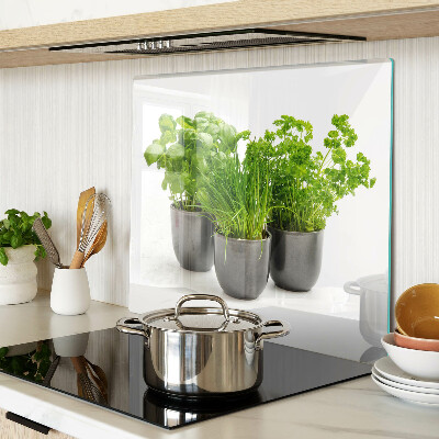 Glass kitchen board Herbs in pots