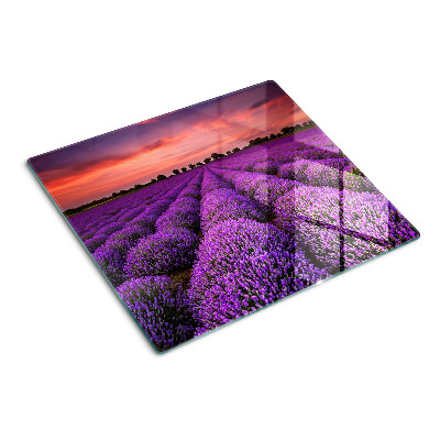 Glass chopping board Lavender field at sunset