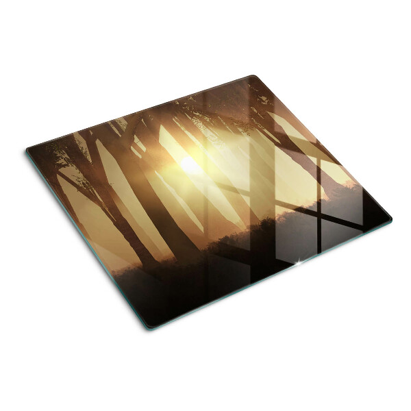 Glass kitchen board Sunset in the forest