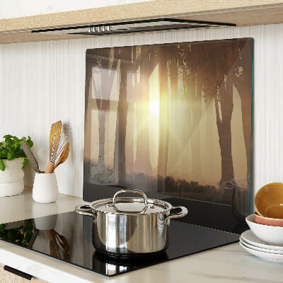 Glass kitchen board Sunset in the forest