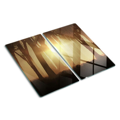 Glass kitchen board Sunset in the forest