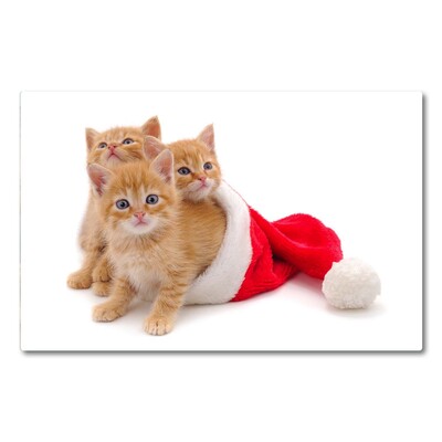 Kitchen Splashback Cats Christmas Santa Claus