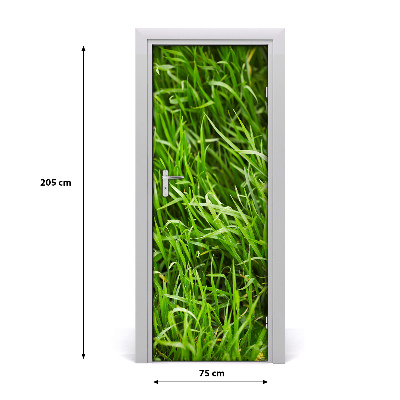 Self-adhesive door sticker Against the wall. Grass