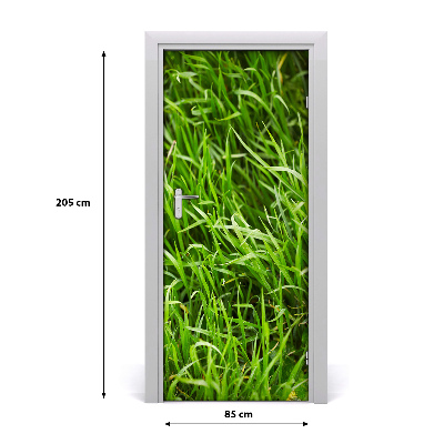 Self-adhesive door sticker Against the wall. Grass