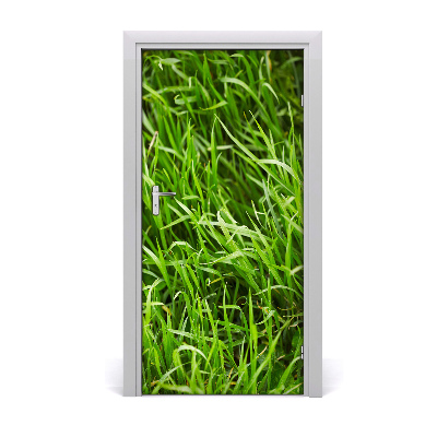 Self-adhesive door sticker Against the wall. Grass