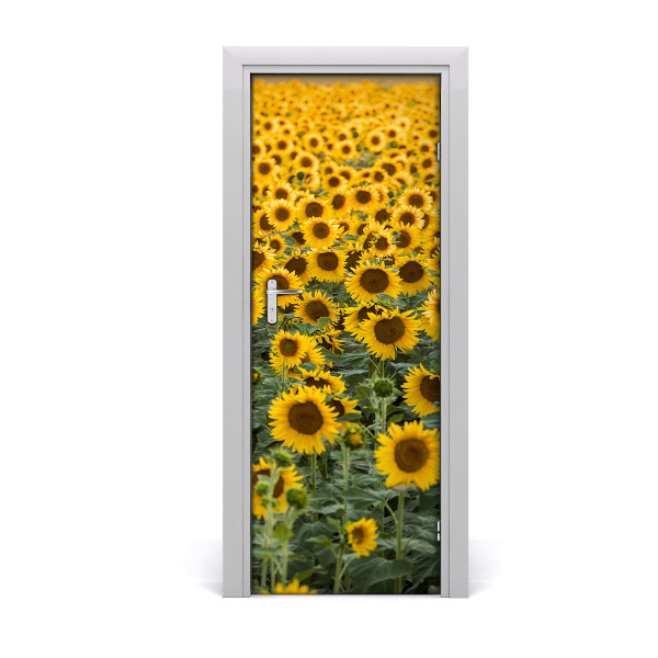 Self-adhesive door wallpaper Field of sunflowers