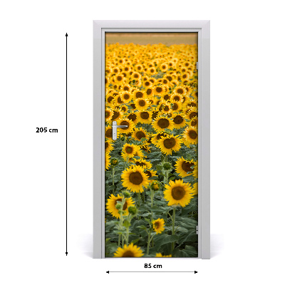 Self-adhesive door wallpaper Field of sunflowers