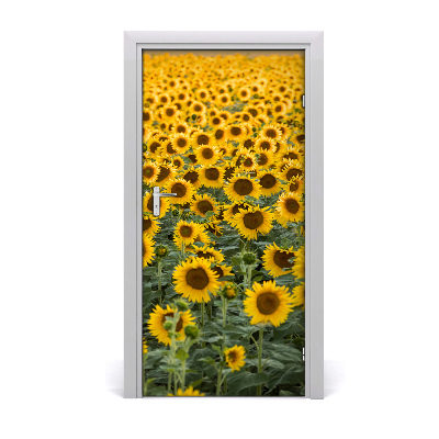 Self-adhesive door wallpaper Field of sunflowers