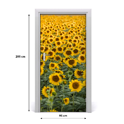 Self-adhesive door wallpaper Field of sunflowers