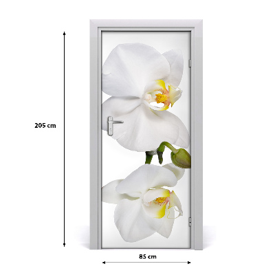 Self-adhesive door sticker White orchid