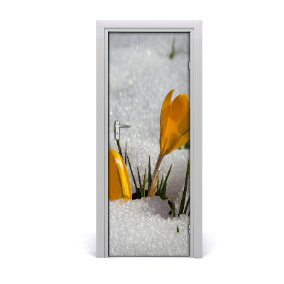 Self-adhesive door sticker Yellow crocuses