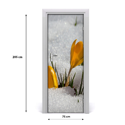 Self-adhesive door sticker Yellow crocuses