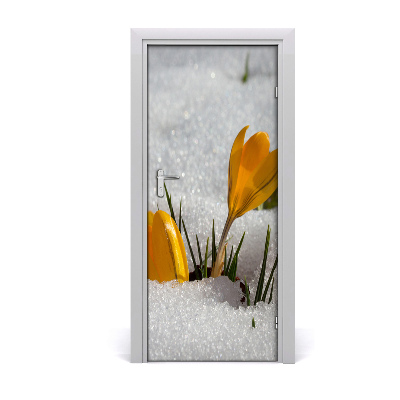 Self-adhesive door sticker Yellow crocuses