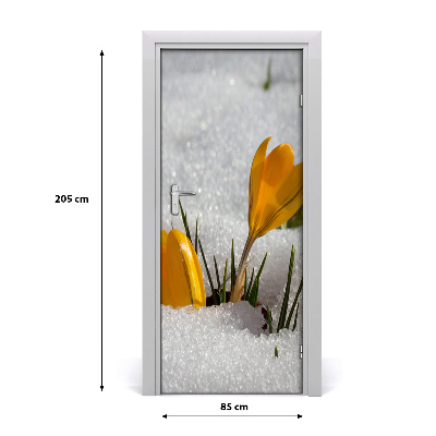 Self-adhesive door sticker Yellow crocuses