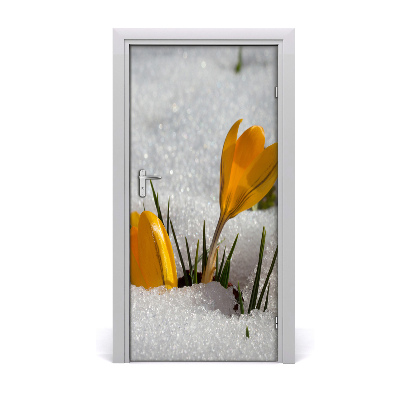 Self-adhesive door sticker Yellow crocuses