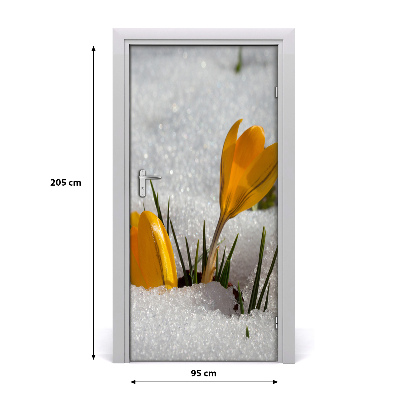 Self-adhesive door sticker Yellow crocuses