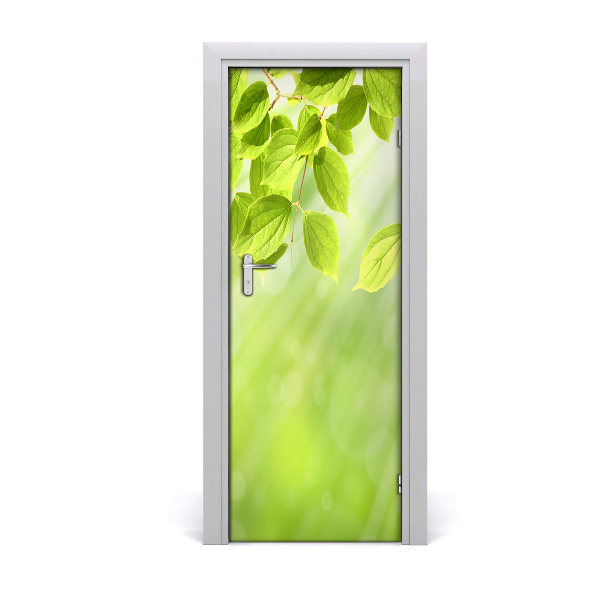 Door wallpaper Green leaves