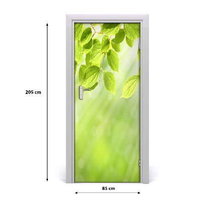 Door wallpaper Green leaves