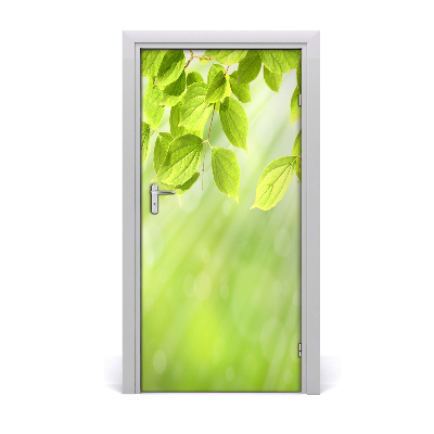 Door wallpaper Green leaves