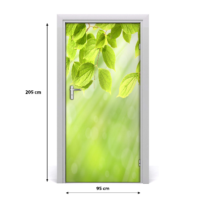 Door wallpaper Green leaves