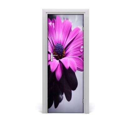 Self-adhesive door sticker Pink gerbera