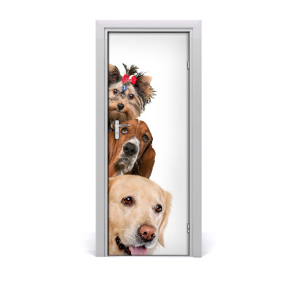 Self-adhesive door sticker Wall dogs and cats