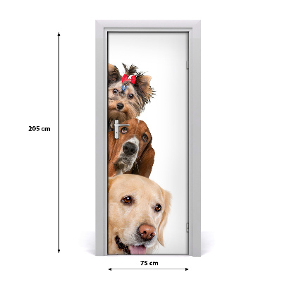 Self-adhesive door sticker Wall dogs and cats