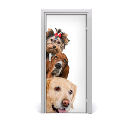 Self-adhesive door sticker Wall dogs and cats