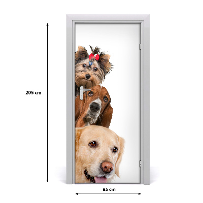 Self-adhesive door sticker Wall dogs and cats