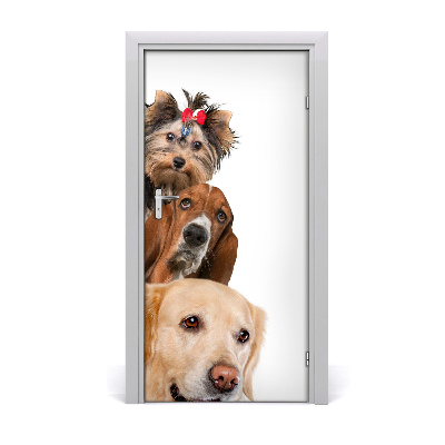 Self-adhesive door sticker Wall dogs and cats