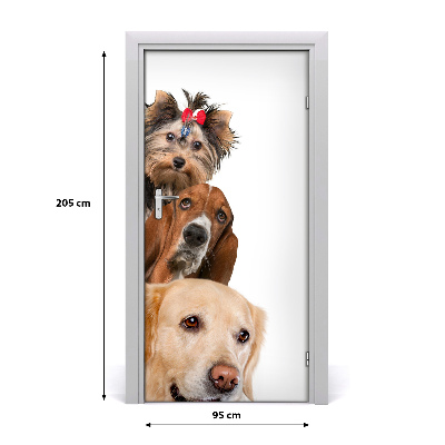 Self-adhesive door sticker Wall dogs and cats