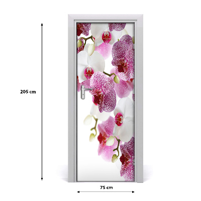 Door adhesive Orchid