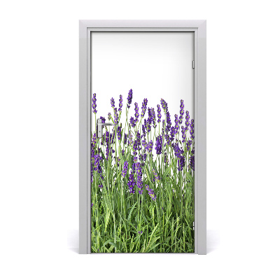 Door adhesive Lavender field