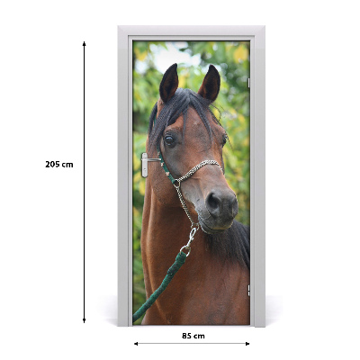 Self-adhesive door sticker Portrait of a horse