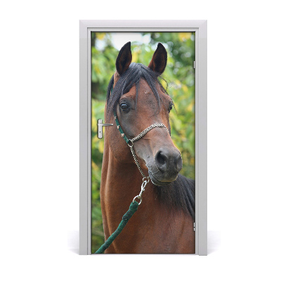 Self-adhesive door sticker Portrait of a horse