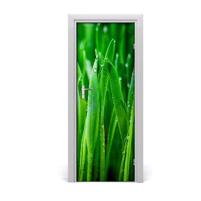 Door adhesive Blades of grass