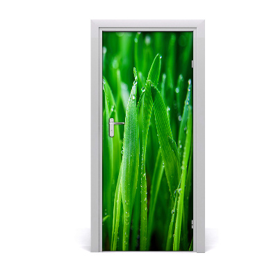 Door adhesive Blades of grass