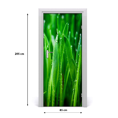 Door adhesive Blades of grass