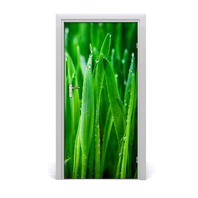 Door adhesive Blades of grass