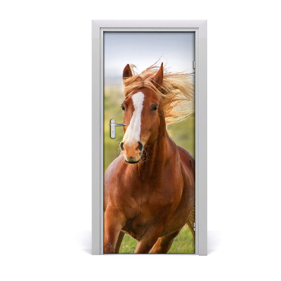 Self-adhesive door sticker Horse in gallop