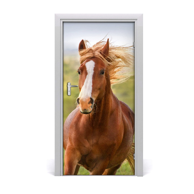 Self-adhesive door sticker Horse in gallop