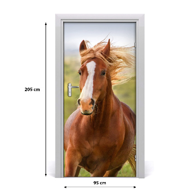 Self-adhesive door sticker Horse in gallop