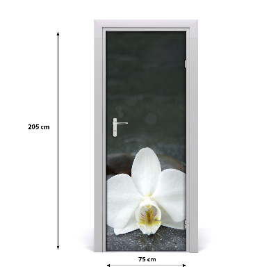 Door adhesive Orchid