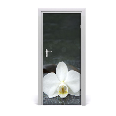 Door adhesive Orchid