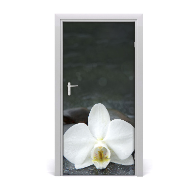 Door adhesive Orchid