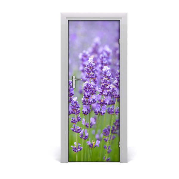 Door adhesive Lavender field